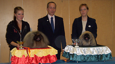 Veteraanit