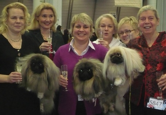 helsinginvoittaja2010