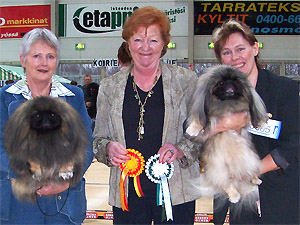 Rop ja Vsp Sein�joki