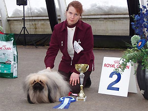 ROP ja RYP 2