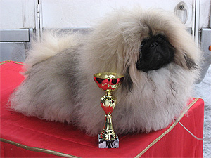 Rop-pentu