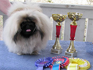 Hollola Rop-pentu